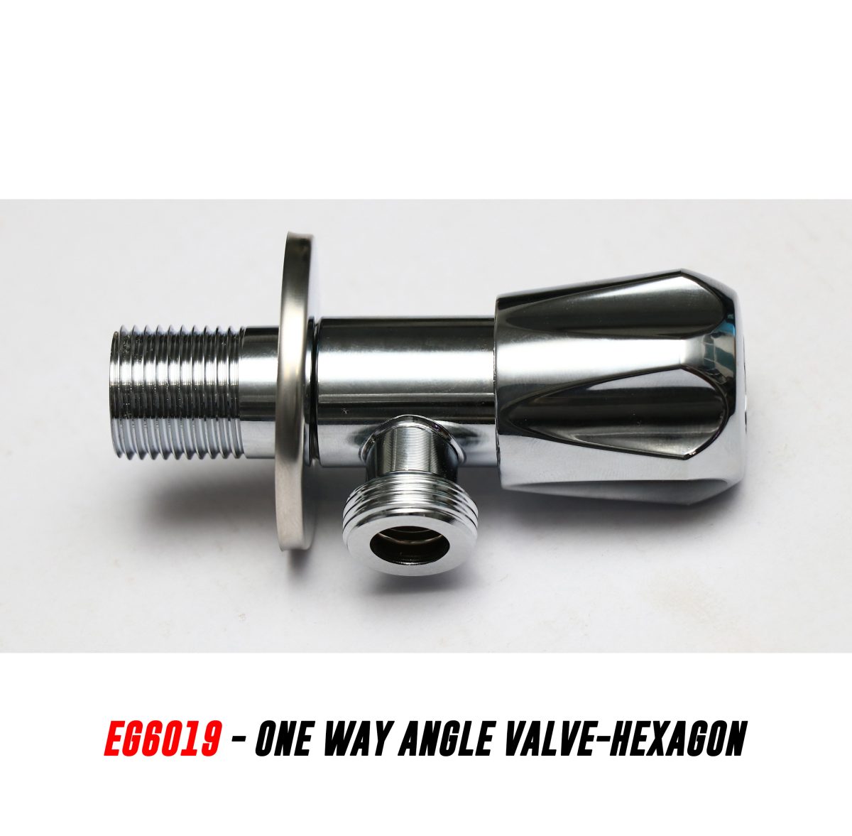 EG6019 - Image 1