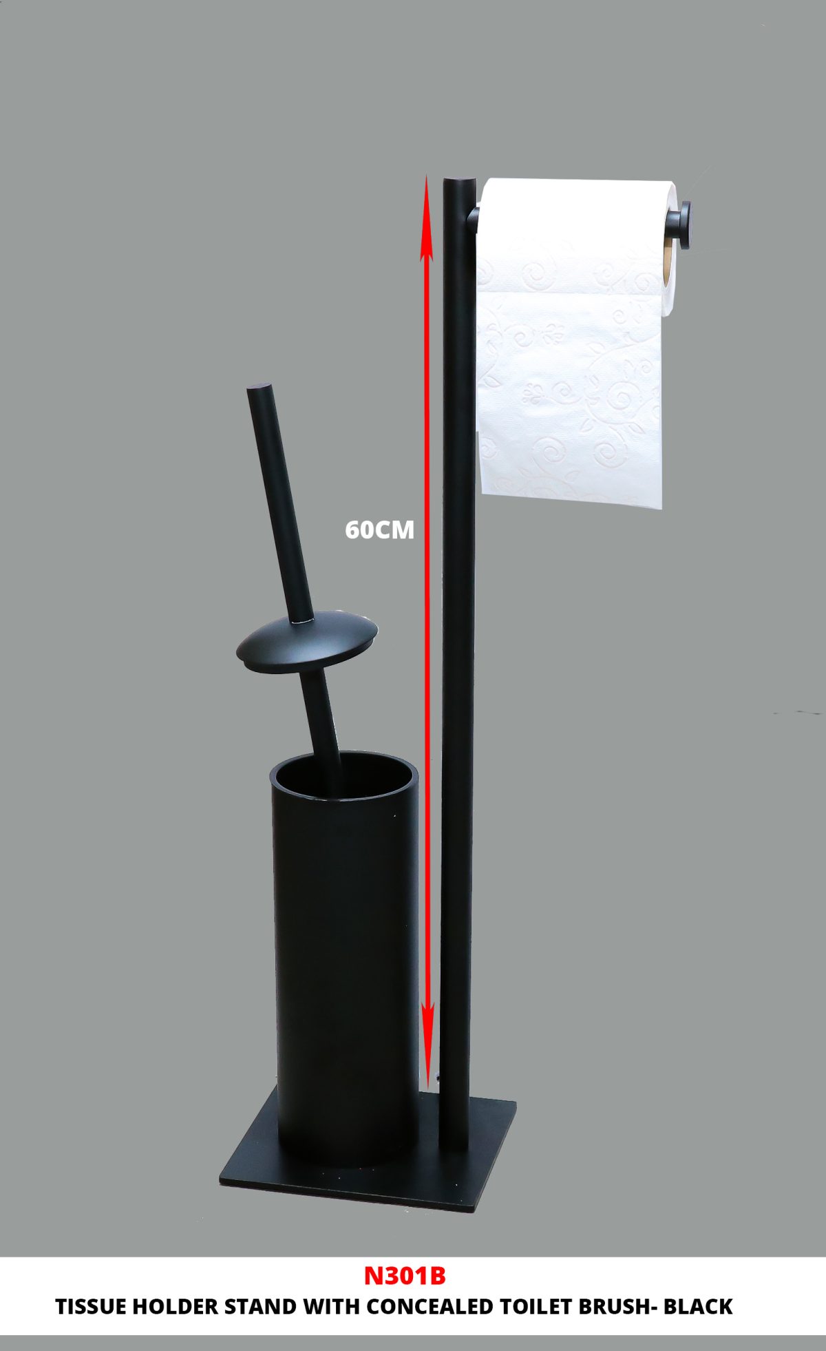 N301B - Image 1
