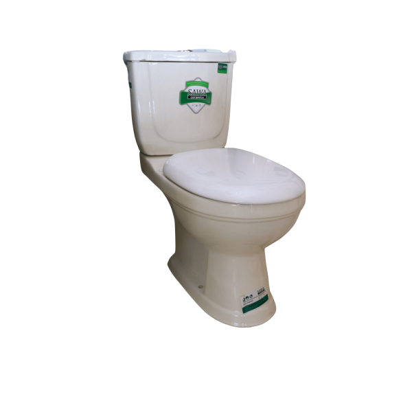 Toilet DFT019