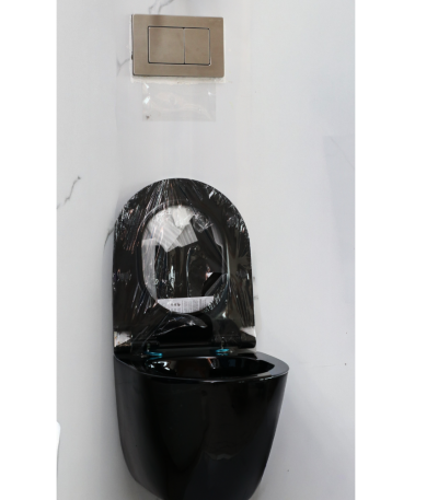 Wall-Mounted Toilet