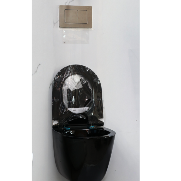Wall-Mounted Toilet