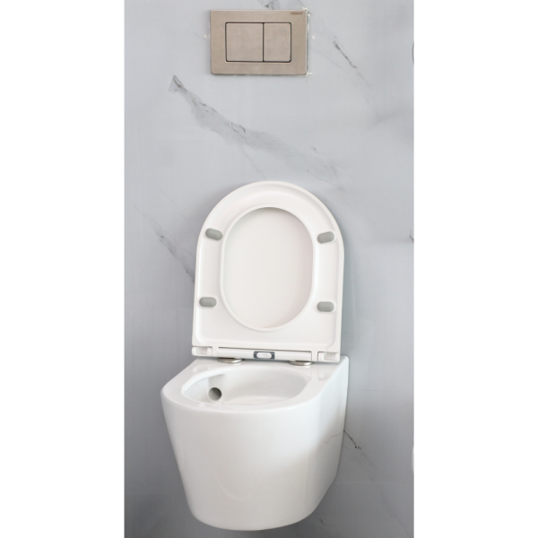 Wall mounted Toilet
