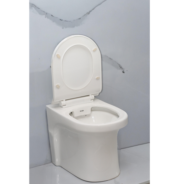 Floor-Mounted Toilet