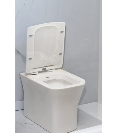 Floor-Mounted Toilet
