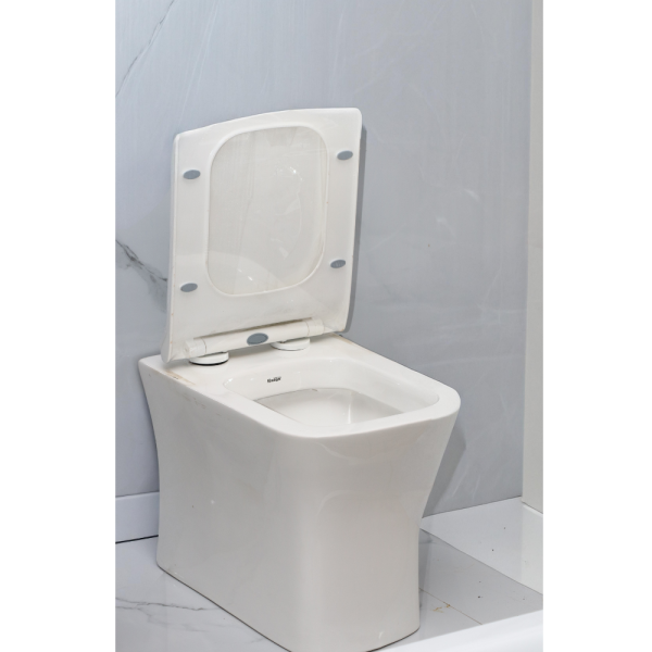 Floor-Mounted Toilet