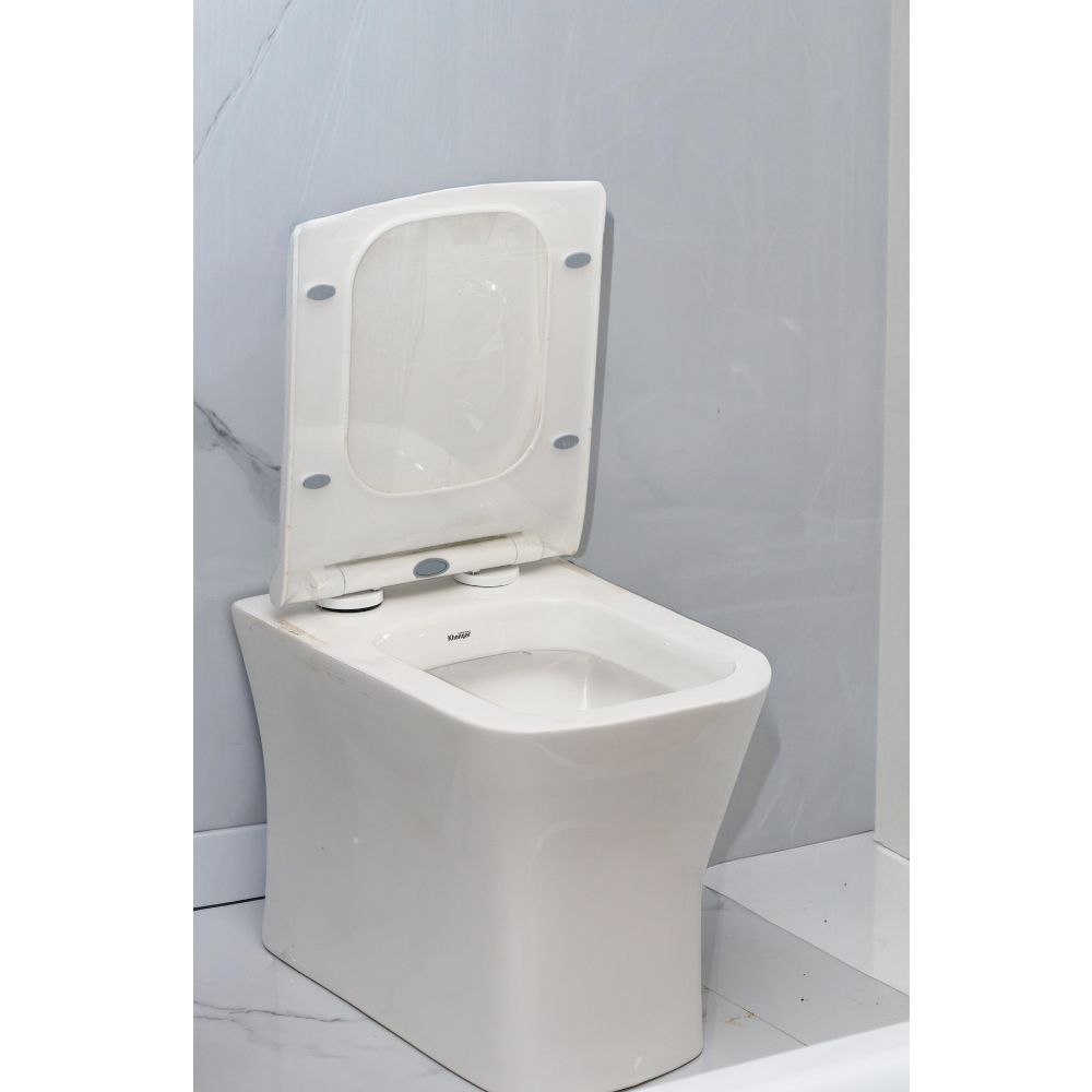 Floor-Mounted Toilet